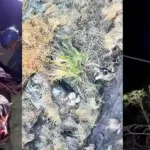 Rescue Operation by MRC at Needle Rock View Point, Gudalur